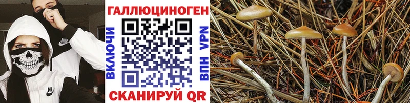 Галлюциногенные грибы GOLDEN TEACHER Заводоуковск