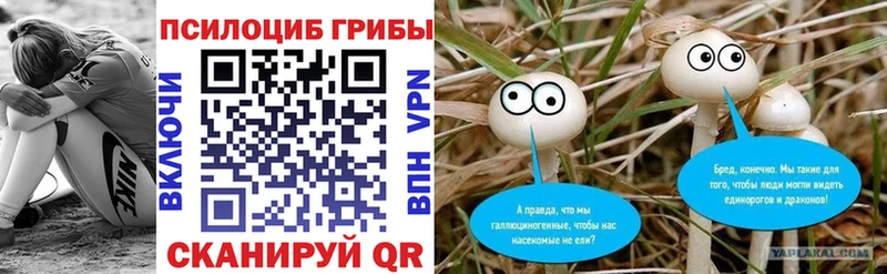 Галлюциногенные грибы Cubensis  Заводоуковск 